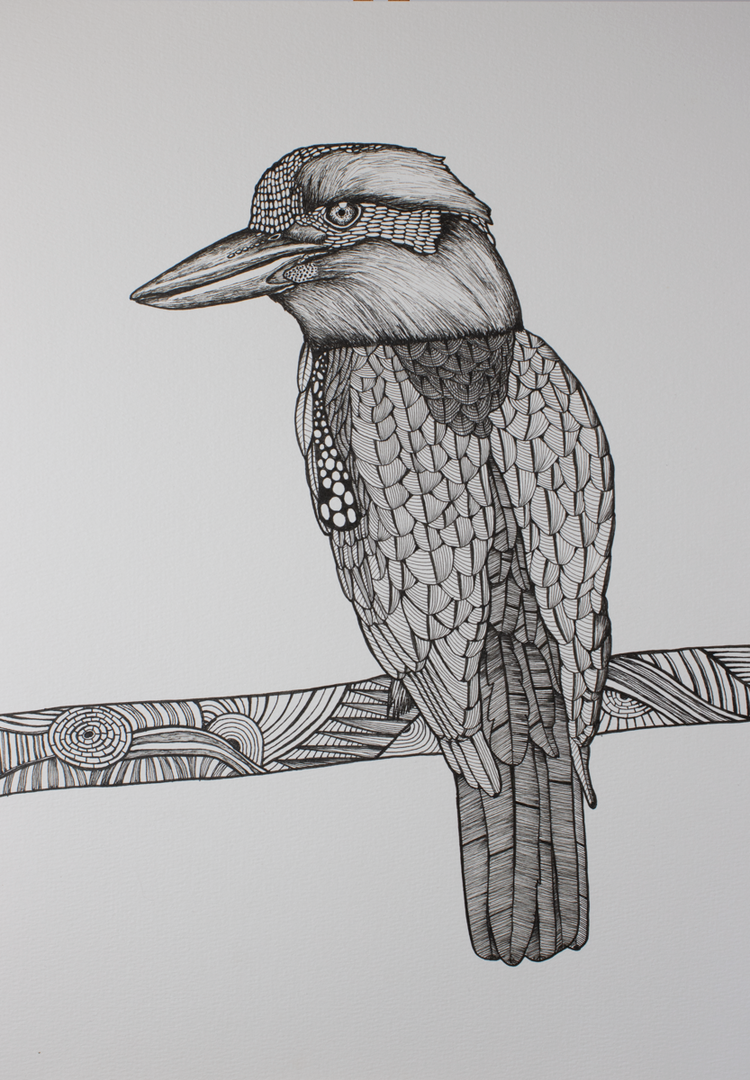 Lovely Kookaburra