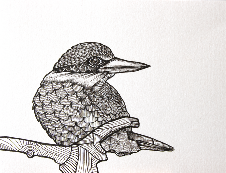 Kingfisher