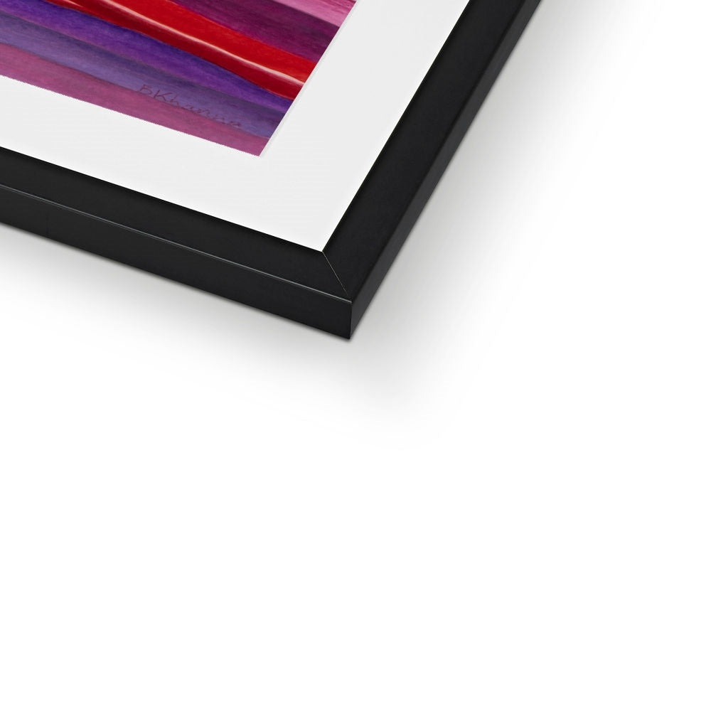 The Colourful Family Tree Framed & Mounted Print