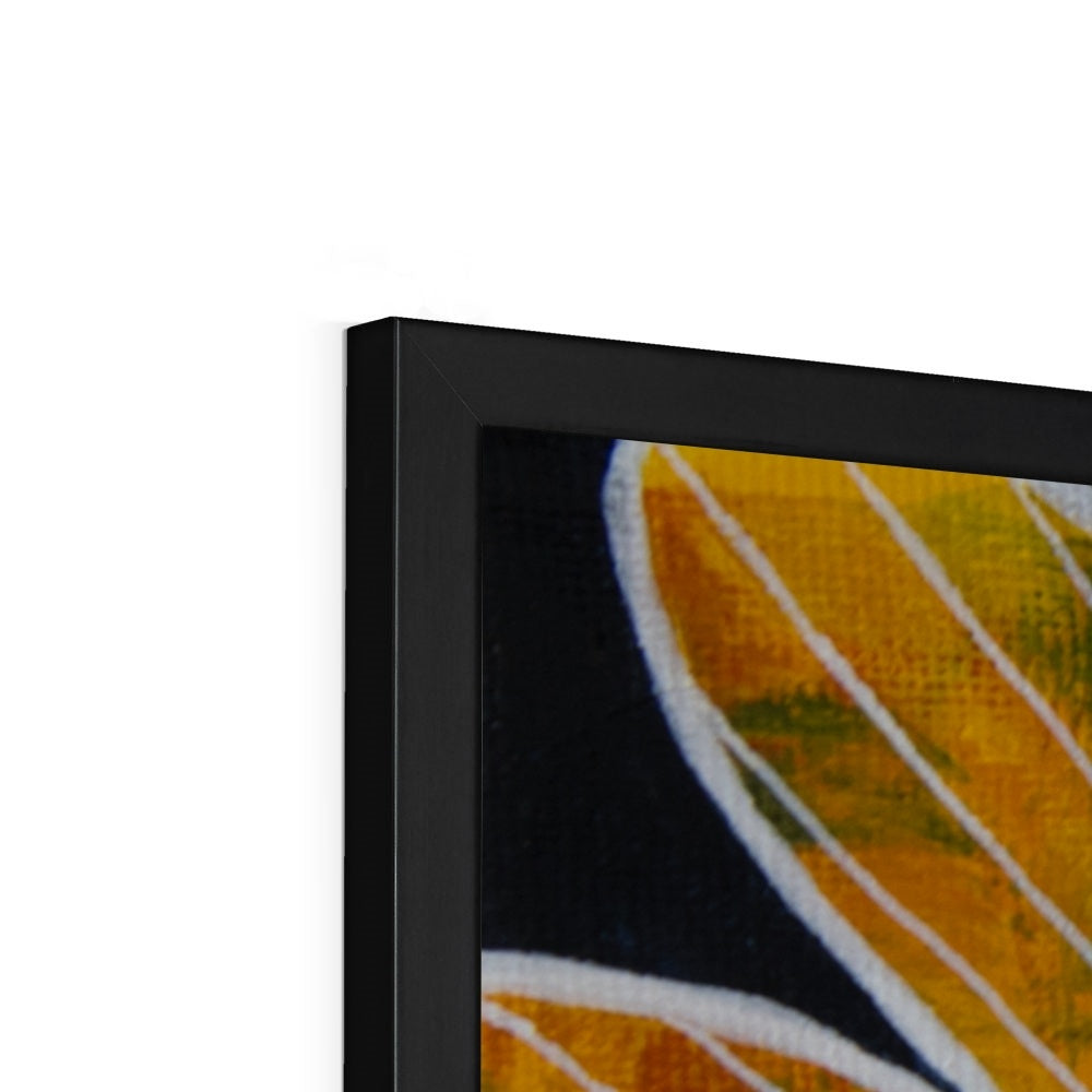 Getting in Close Framed Print