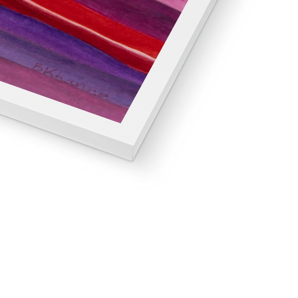The Colourful Family Tree Framed Print