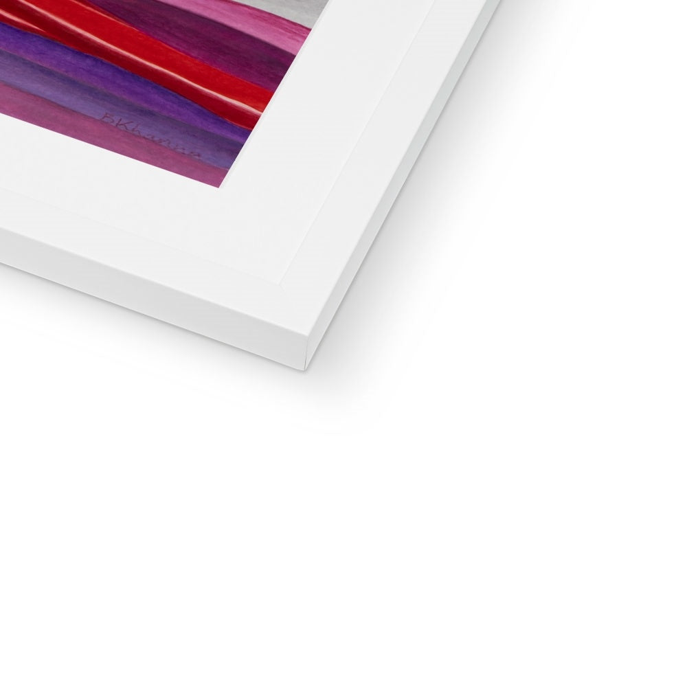 The Colourful Family Tree Framed & Mounted Print