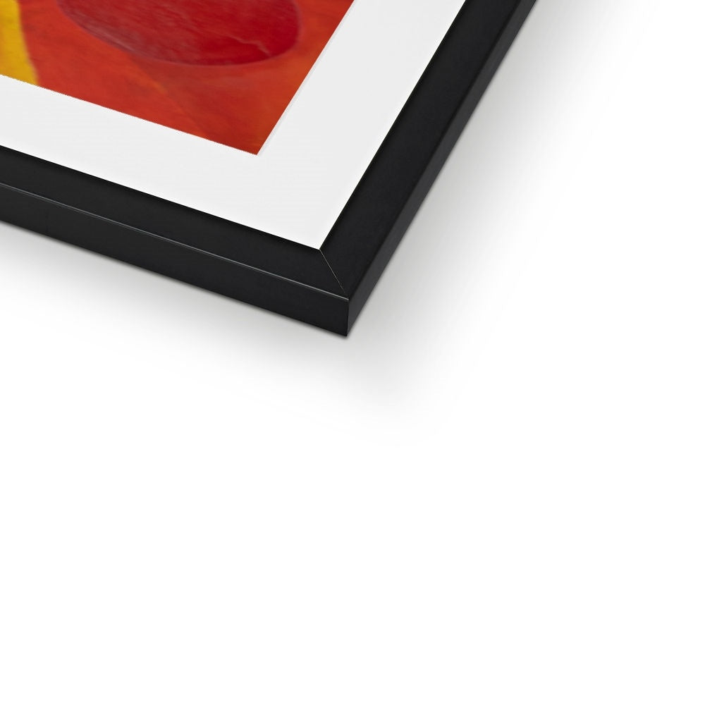 The History Tree Framed & Mounted Print
