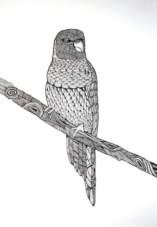 Black and white line drawing of a parrot on a branch