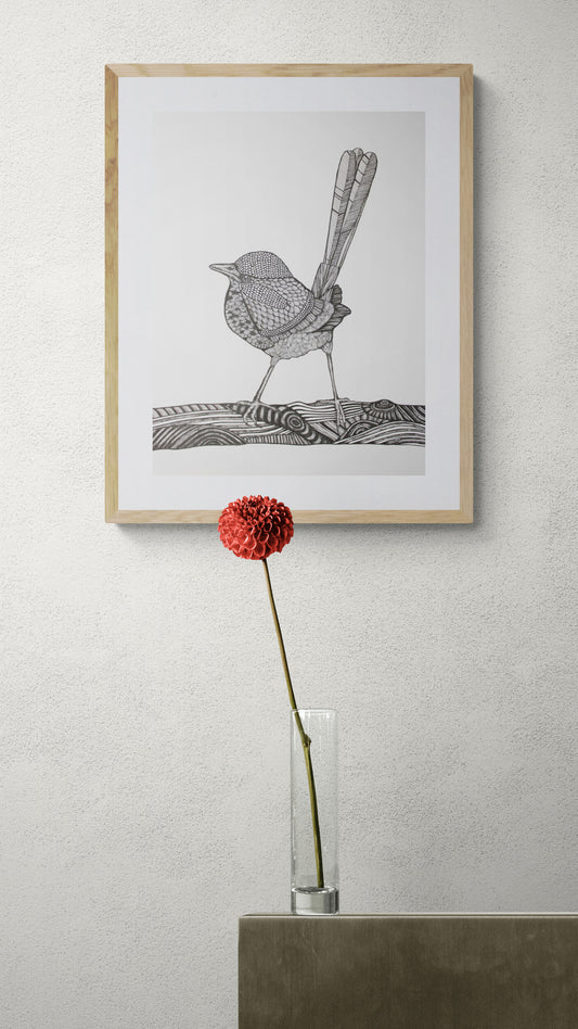 Delightful Fairywren Framed & Unframed Print
